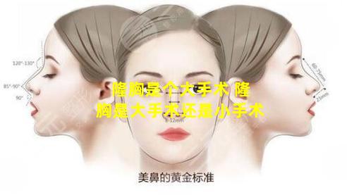 隆胸是个大手术 隆胸是大手术还是小手术